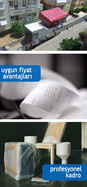 Asansörlü Taşımacılık